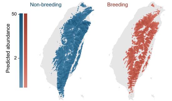 Avian Altitudinal Migration