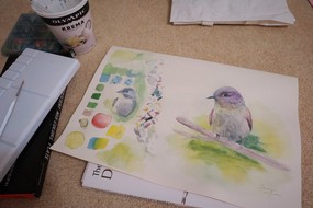 977_20190613 warbling vireo.jpg