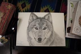 986_20180919 gray-wolf.jpg