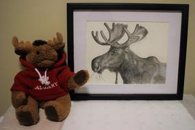 990_20171231 moose.jpg