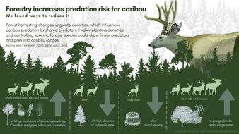 20230711_infographic_ungulates_harvest_Tracy_v3.jpg