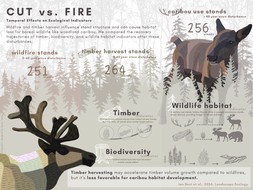 991_20240510_infographic_fire_cut_Ian_v2.jpg
