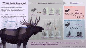 995_20230927_infographic_moose_Laura_v3.png