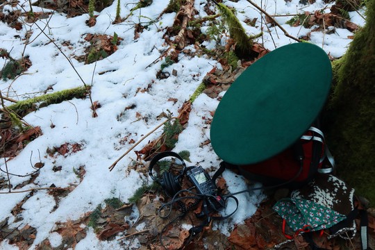 Automatic Bird Sound Detection (MSc project)